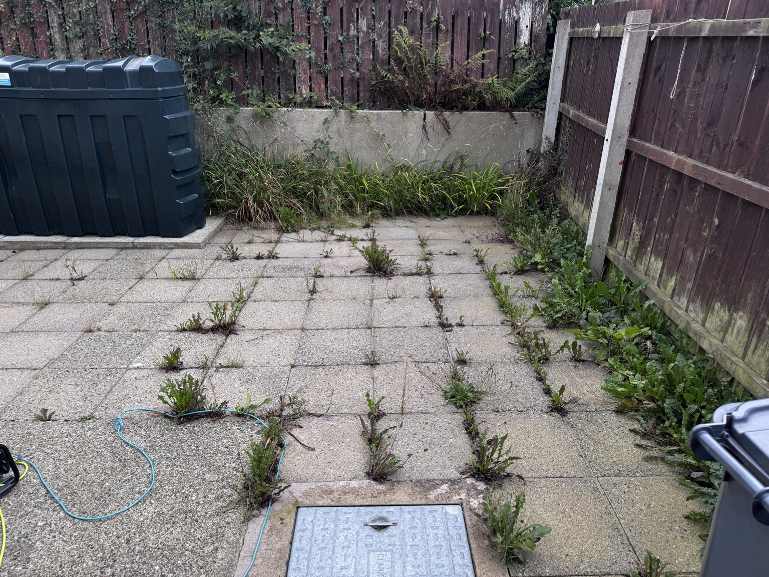 Patio before weeding