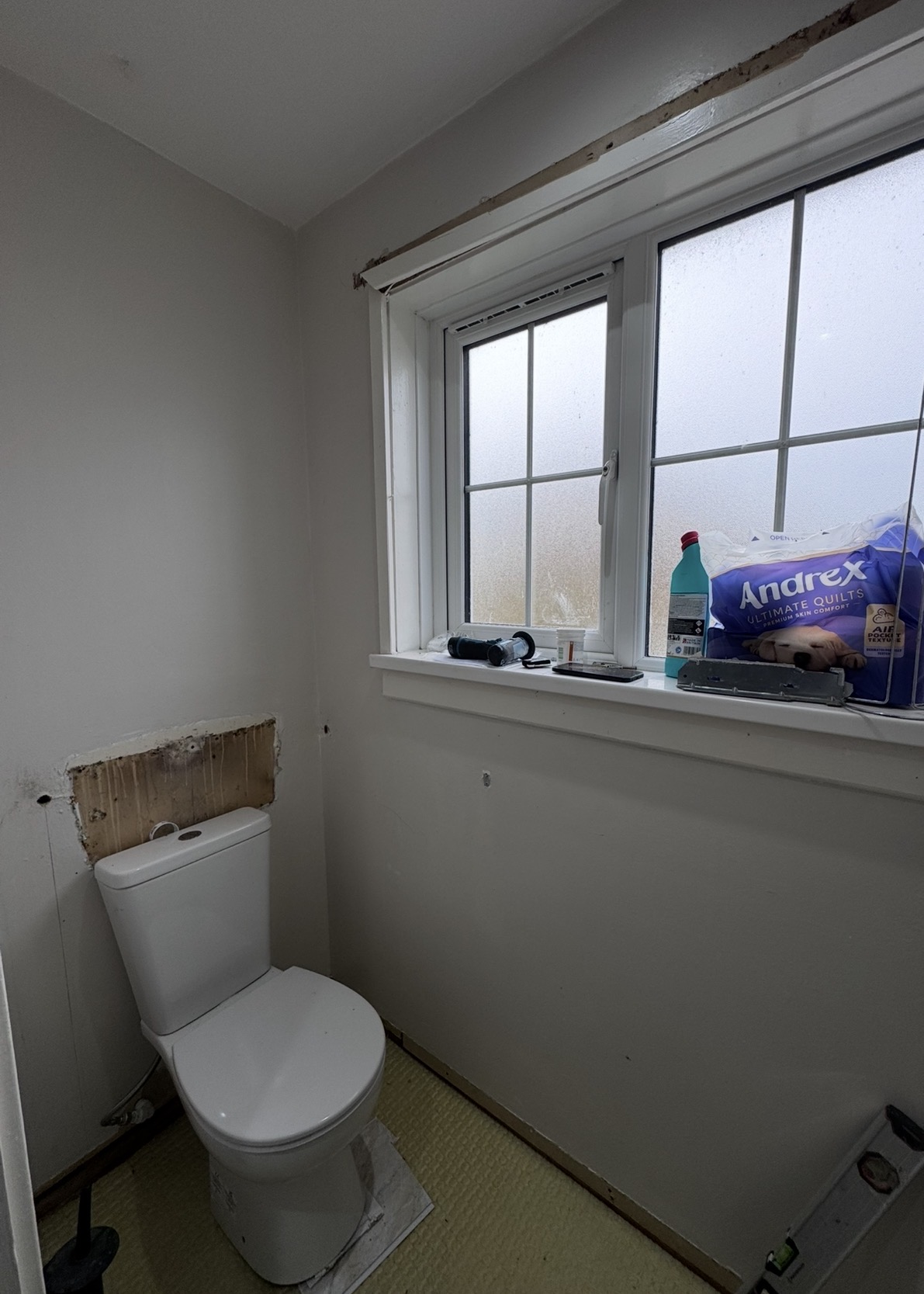 Toilet before renovation